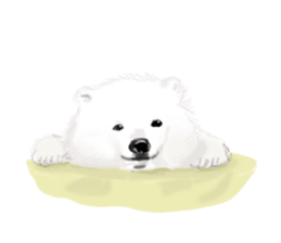 He is like a bear, too. 3 sticker #10633266