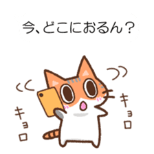Hougen neko (The Kitakyusyu dialect 3) sticker #10633349