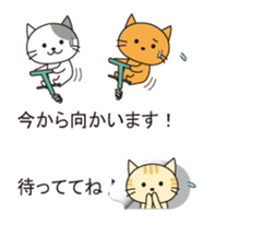 From the inside of a balloon, kitten sticker #10633574