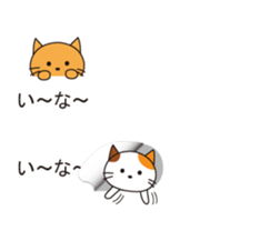 From the inside of a balloon, kitten sticker #10633578