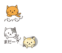 From the inside of a balloon, kitten sticker #10633583