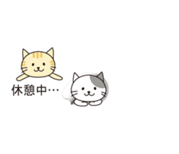 From the inside of a balloon, kitten sticker #10633587