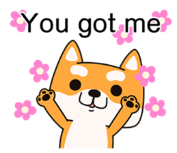 Naughty Shiba Inu (Shiba-Dog)2 sticker #10633950