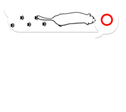 Cat's on the balloon sticker #10634661