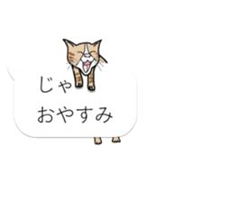 Cat's on the balloon sticker #10634670