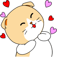 Meow words of Scottish Fold