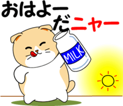 Meow words of Scottish Fold sticker #10634672