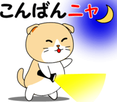 Meow words of Scottish Fold sticker #10634677