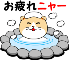 Meow words of Scottish Fold sticker #10634678