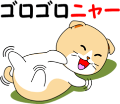 Meow words of Scottish Fold sticker #10634681