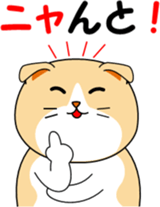 Meow words of Scottish Fold sticker #10634682