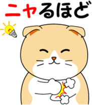 Meow words of Scottish Fold sticker #10634683