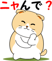 Meow words of Scottish Fold sticker #10634687