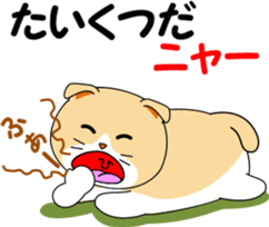 Meow words of Scottish Fold sticker #10634689