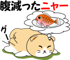 Meow words of Scottish Fold sticker #10634690