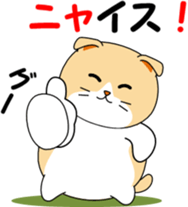 Meow words of Scottish Fold sticker #10634692