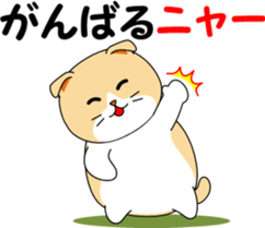 Meow words of Scottish Fold sticker #10634697