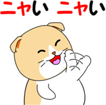 Meow words of Scottish Fold sticker #10634699