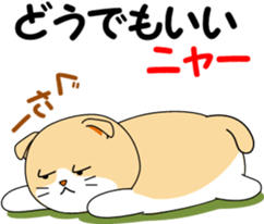 Meow words of Scottish Fold sticker #10634701