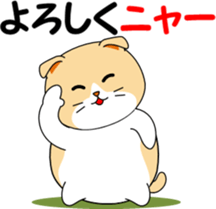 Meow words of Scottish Fold sticker #10634705