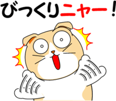 Meow words of Scottish Fold sticker #10634707