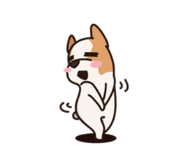 Playful Chihuahua sticker #10635318