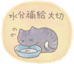 cat and weather sticker #10635394