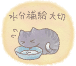 cat and weather sticker #10635394