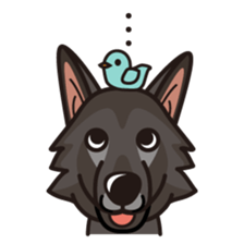 iinu - Belgian Shepherd Dog Groenendael sticker #10635679