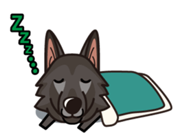 iinu - Belgian Shepherd Dog Groenendael sticker #10635692