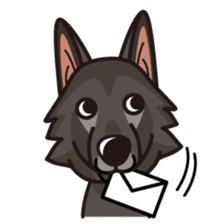 iinu - Belgian Shepherd Dog Groenendael sticker #10635696