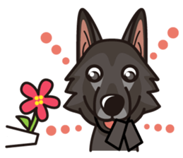 iinu - Belgian Shepherd Dog Groenendael sticker #10635697