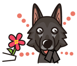 iinu - Belgian Shepherd Dog Groenendael sticker #10635697