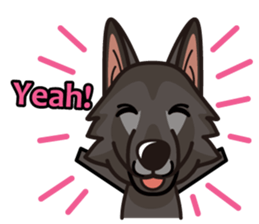 iinu - Belgian Shepherd Dog Groenendael sticker #10635700