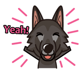 iinu - Belgian Shepherd Dog Groenendael sticker #10635700