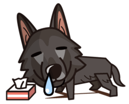 iinu - Belgian Shepherd Dog Groenendael sticker #10635709