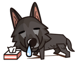 iinu - Belgian Shepherd Dog Groenendael sticker #10635709