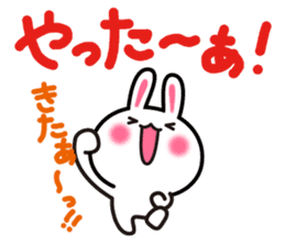 Yuki-usa Vol.14 by RURU sticker #10635852