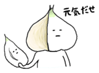 The garlic like onion sticker #10635996