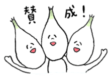 The garlic like onion sticker #10636002