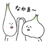 The garlic like onion sticker #10636011