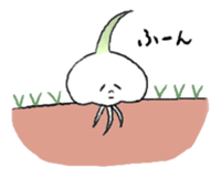 The garlic like onion sticker #10636021