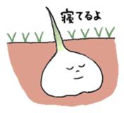 The garlic like onion sticker #10636030