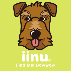 iinu - Welsh Terrier