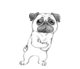 Melancholy Pug 1 sticker #10637713