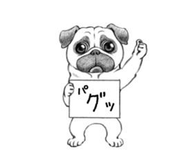 Melancholy Pug 1 sticker #10637719