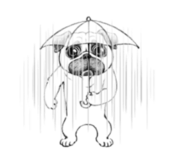 Melancholy Pug 1 sticker #10637736