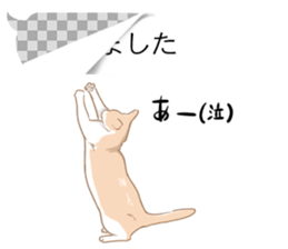 catman1 sticker #10638153