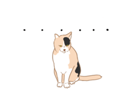 catman1 sticker #10638156