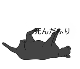 catman1 sticker #10638165